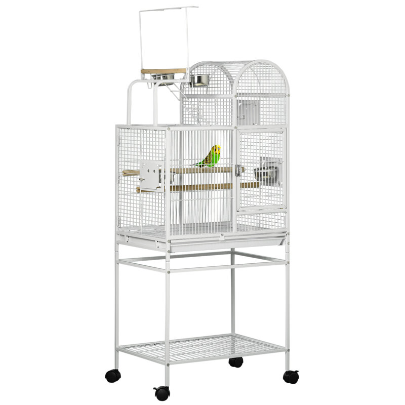 Grande cage à perroquet avec crochets à jouets au-dessus d'un perchoir à oiseaux