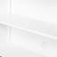 Losurdo 2 -Door Storage Cabinet