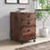 Laricia 15.6'' Wide 3 -Drawer Mobile File Cabinet