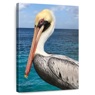 Brampt Pelican Profile