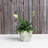 Alaunah Pot Planter-840690736-840690747