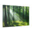 No Frame Print on Canvas