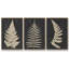 Linen Fern I - ensemble de 3 reproductions sur toile-15951351-15951349