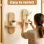 Wood Floating Shelf