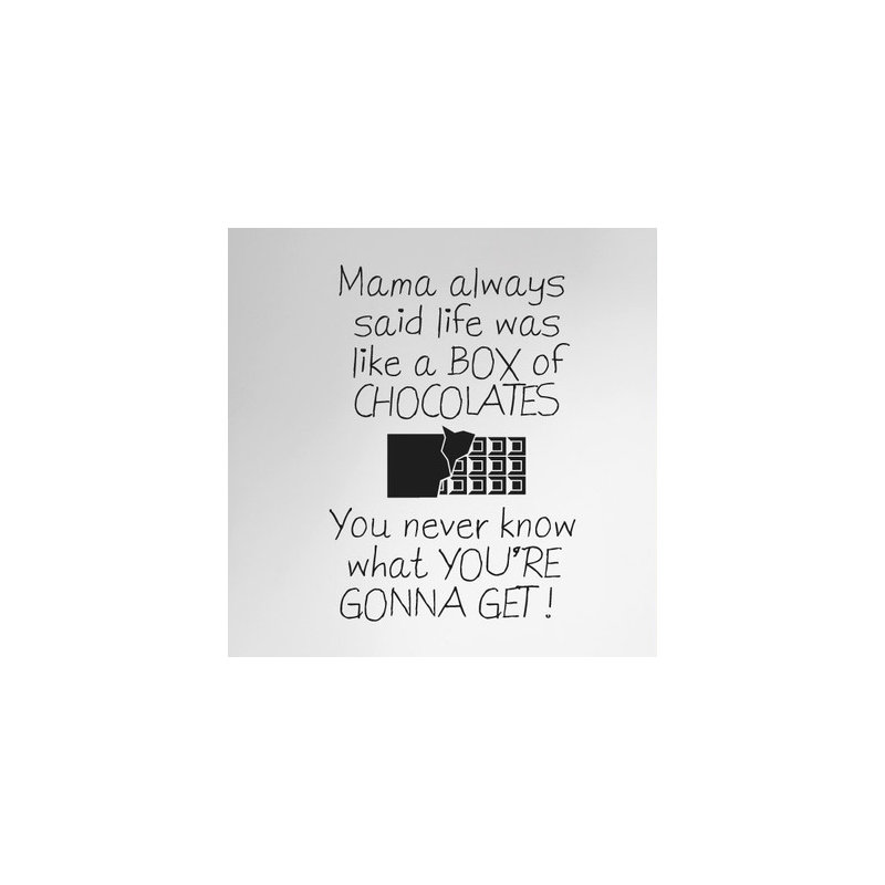 Non-Wall Damaging Wall Decal, Black