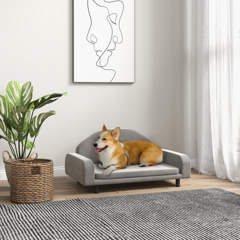 Canapé surélevé pour petits et moyens chiens