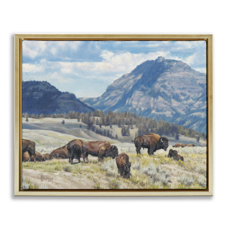 «Sunny Af après-midi Bison Gray», art mural encadré par David Graham, Cadre flottant métallique doré, H 25 po x l 31 po