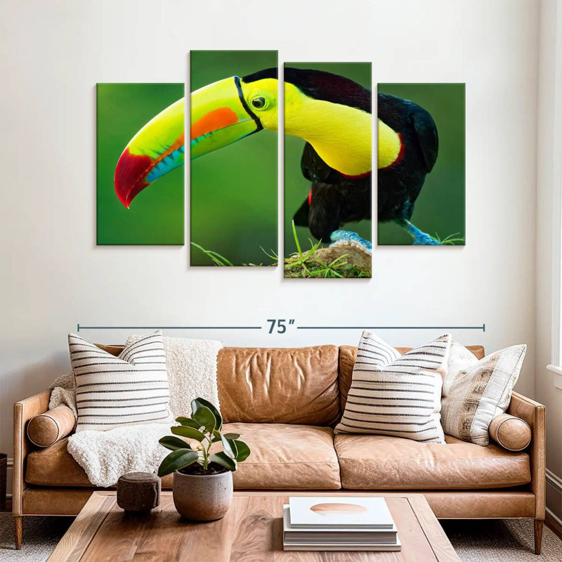 Sulfur Breasted Toucan