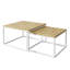 Whitinsville 2 Piece Coffee Table-781587020-738833148-738833149
