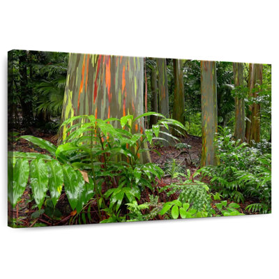 Harnek Hana Rainbow Trees