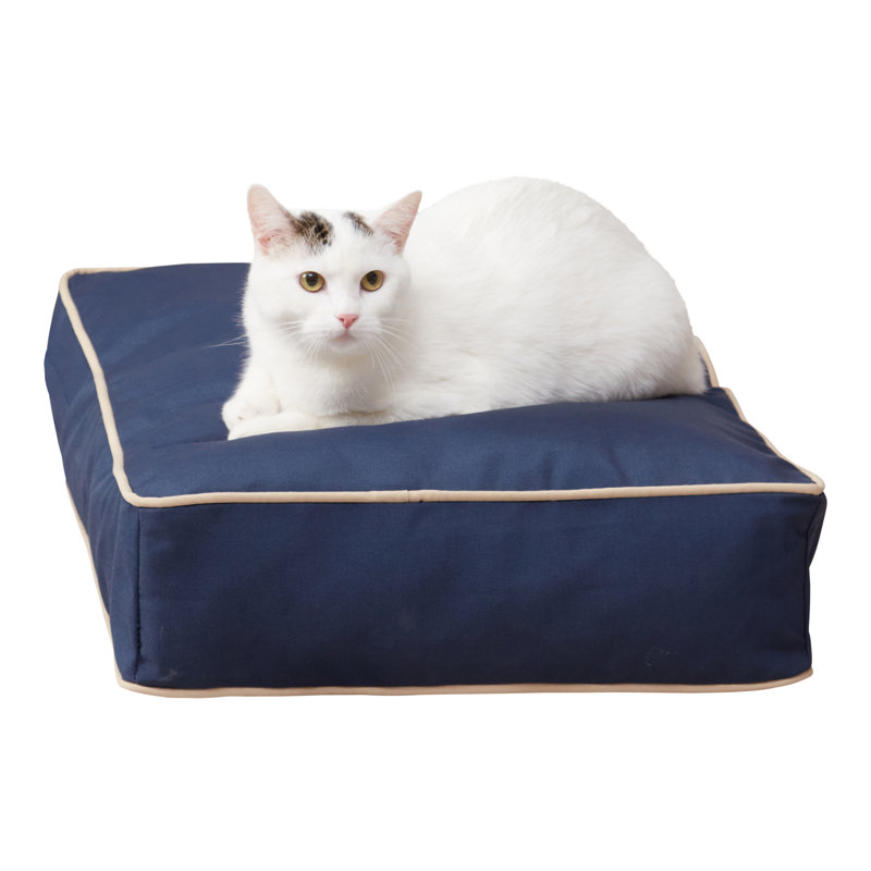 Pet Bed