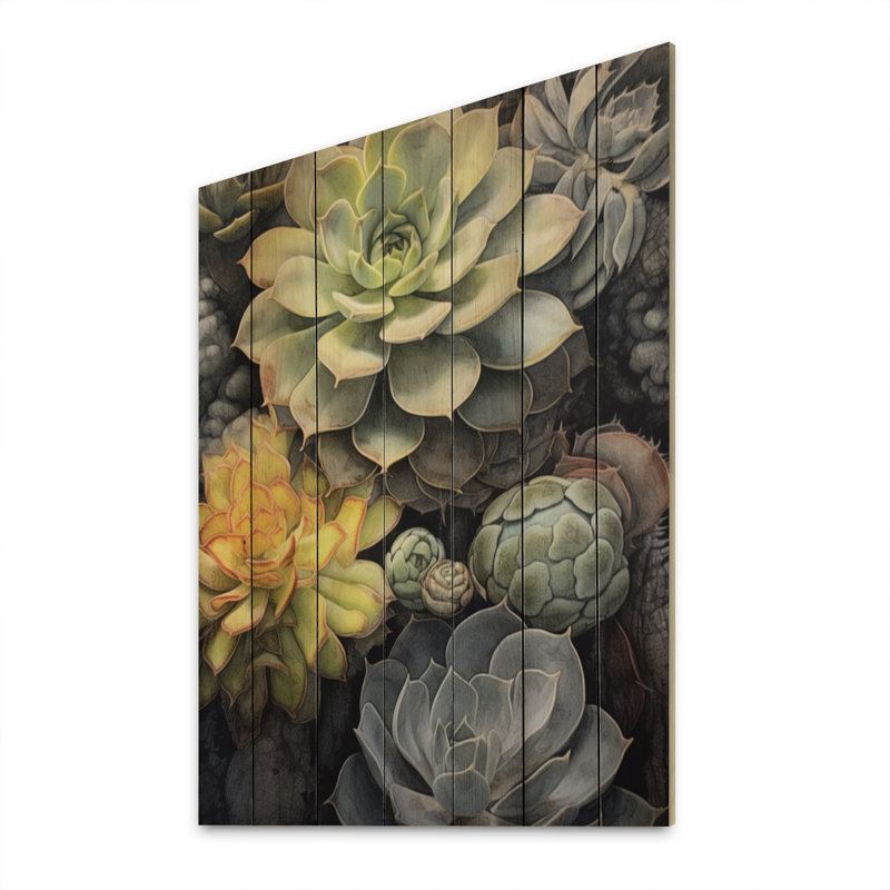 «Jameta Green Grey Resilience Succulent» sur impression sur bois, H 20 po x l 10 po x P 0,78 po