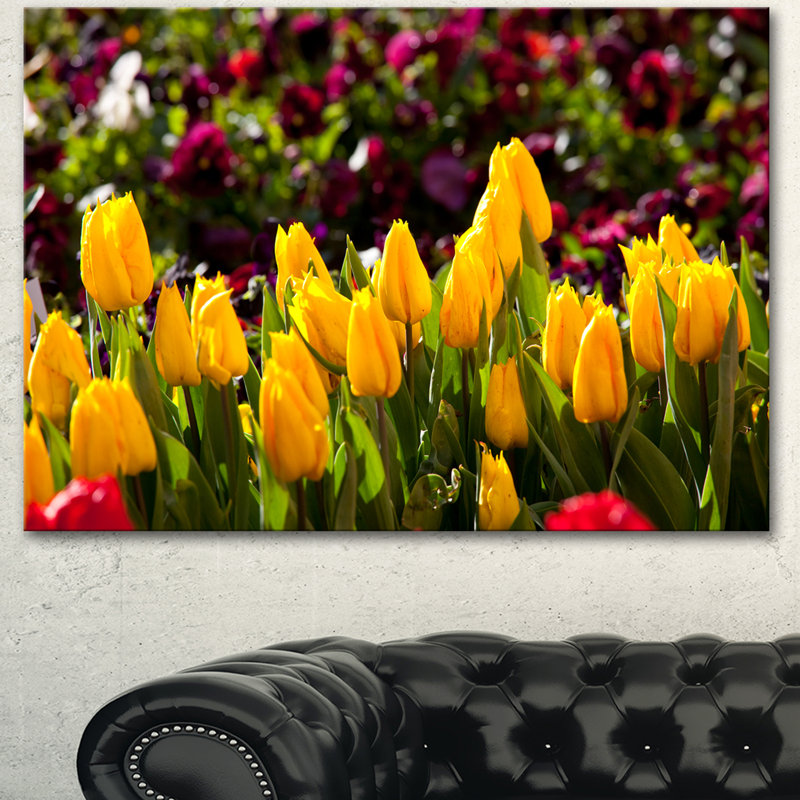 «Beautiful Yellow Tulips Garden», reproduction de photo sur toile tendue, H 30 po x l 40 po
