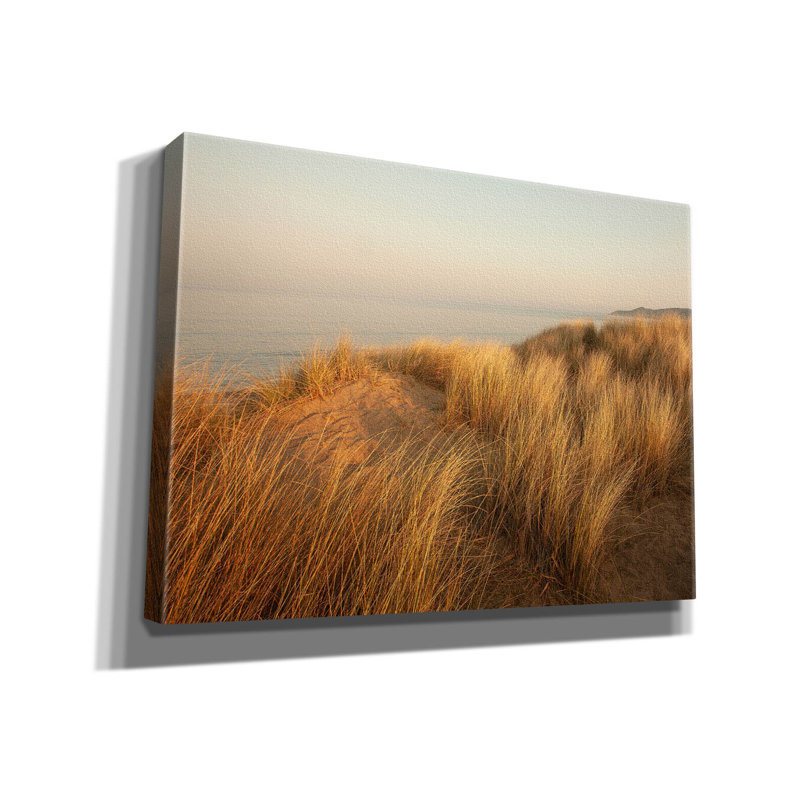 «Dunes With Seagulls 7» par Ian Winistanley, art mural sur toile, H 40 po x l 54 po x P 1,5 po