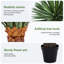 Arbre de Dracaena agave artificiel 6 pi-45911971