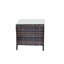 Rafiat 4 Legs Coffee Table with Storage,Outdoor End Table,Wicker Table