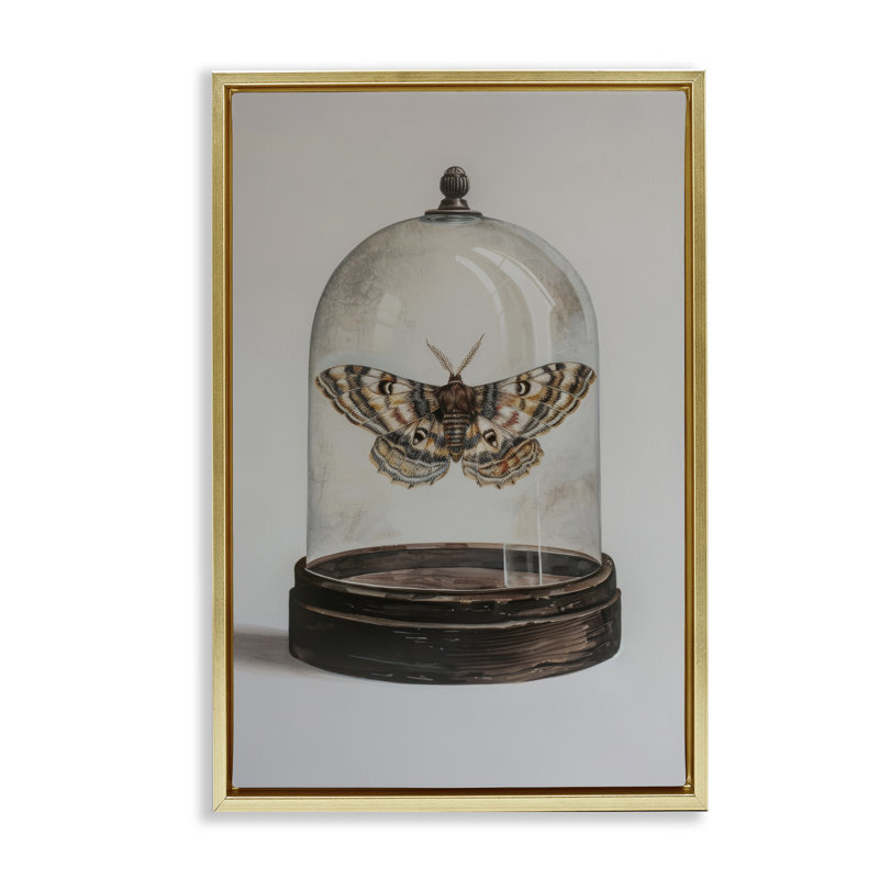 Toile flottante «Moth in Glass Cloche» par Petal Prints Design, Cadre flottant métallique doré, H 25 po x l 17 po