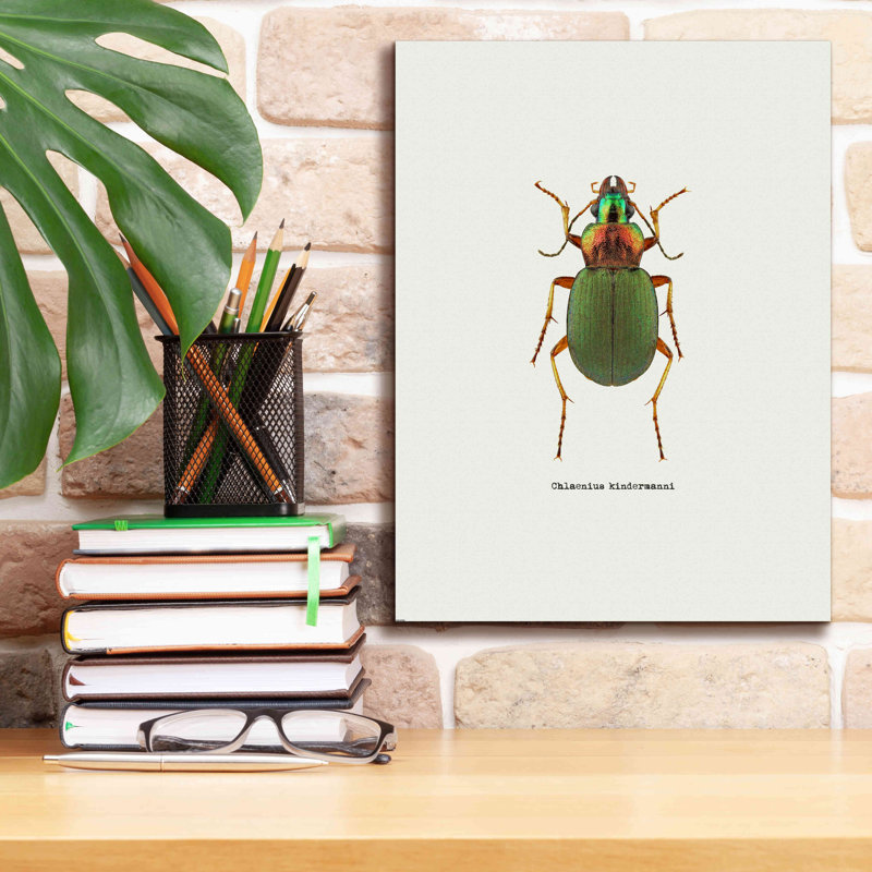 «Beetle Green» par GraphINC, estampe numérique sur toile, H 16 po x l 12 po x P 0,75 po