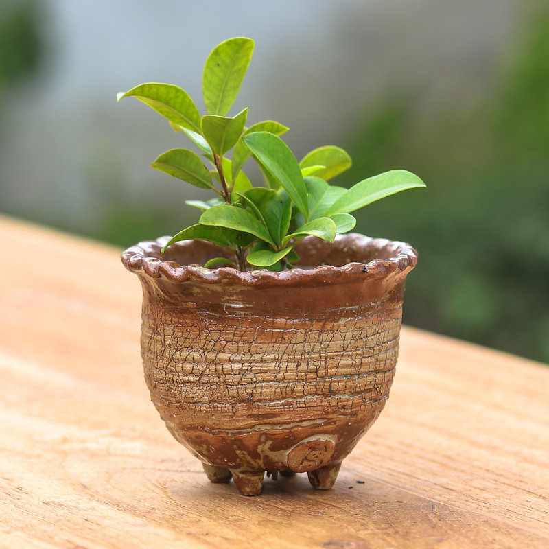 Handmade Earth Steps Ceramic Flower Pot