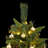 Christmas Tree-286599672