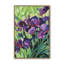 Impression audacieuse de fleurs d'iris-698636401-698665322