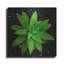 36 po x 36 po, Ebern Designs «The Green Bloom Crop» par Epic Portfolio, art mural en métal-557868307