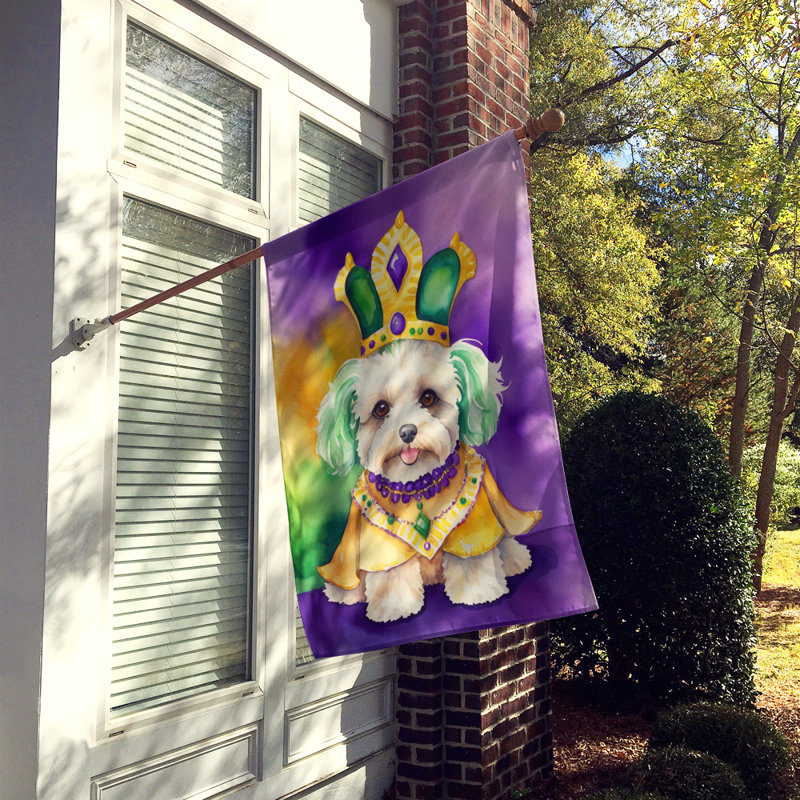 Double Sided 40'' H x 28'' W Polyester Mardi Gras House Flag