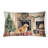 Other/No Pattern Outdoor Throw Pillow