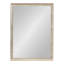 Sherita Metallic Rectangle Bathroom Wall Mirror-40671179-40671181