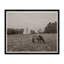 Grazing I Print by Tim Klein