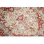 Rayo Performance Silk Oriental Indoor Rug