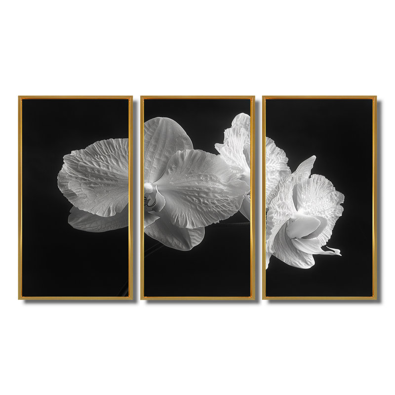 Ensemble de salon Roddy - Orchids Wall Art, Toile avec cadre flottant or, H 28 po x l 36 po x P 1 po