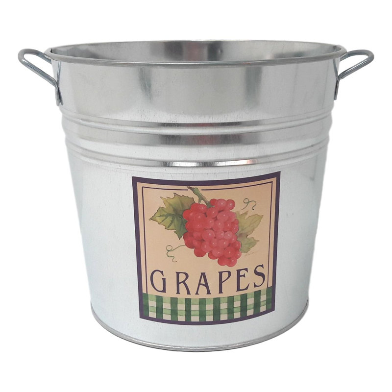 Pot à fleurs en acier galvanisé Figgs, Raisin