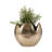 Ivy Bronx Aluminum Champagne Vase: 12-Inch Raw Edge Round Elegance, Transform Your Space With This Unique Decor Piece