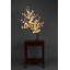 Bonsaïs illuminés et branches-22104824