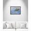Impression Marlin par Mike Ragan pour -260913545-260913548