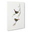 Finches by Elizabeth Gould - Wrapped Canvas-55324268
