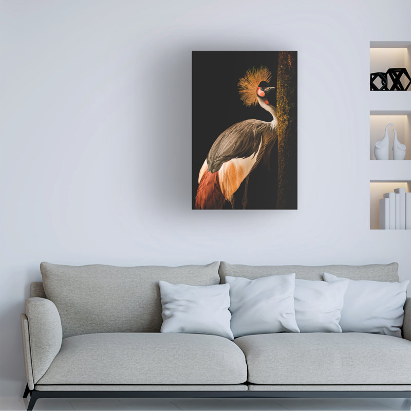 Karl Blossfeldt Blossfeldt Rosette I Canvas Art, H 19 po x l 12 po x P 2 po