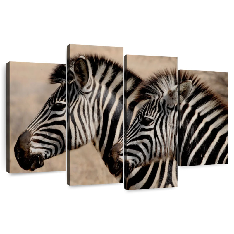 Zebra Friends, H 22 po x l 36 po