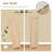 Millwood Pines Large Storage Cabinet With 2 Adjustable Drawers & 2 Shelf-288577538