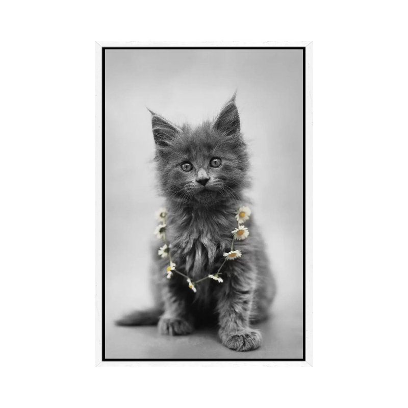 Lara by Rachael Hale - Print on Canvas, 66.04 cm H x 45.72 cm W, White Framed