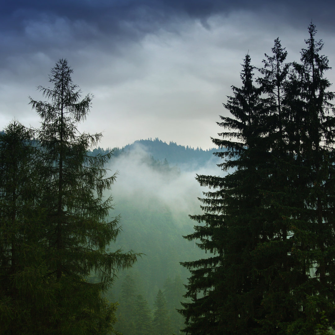 Gloomy Morning In The Mountains von Mammuth - Kunstdrucke auf Leinwand ohne Rahmen