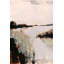 Muted Coastal Landscape by Cartissi — Landscape Wall Art-701172736-701172745-701172746