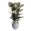 Pot à fleur Dorlis Fiberstone-881441047-881441045