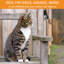Maison extérieur pour chaton