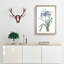 African Lily Flowers by Pierre-Joseph Redoute - Single Picture Frame Painting-55547703-55547707