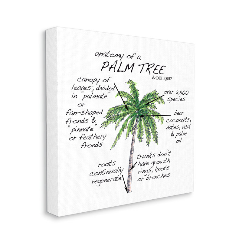 «Tropical Palm Tree», Flores, plantes, éducatif, H 17 po x l 17 po x P 1,5 po