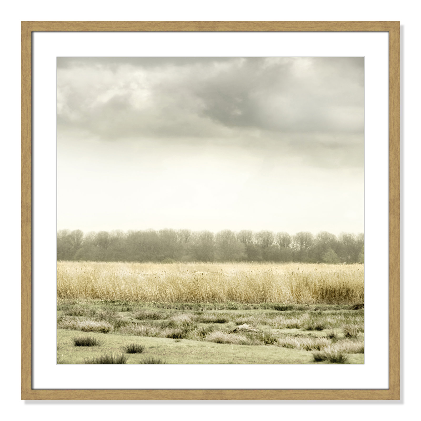 Henri "Meadowland" Print by Danita Delimont, 27.5" H x 27.5" W , Natural Wood Grain