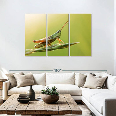 Grasshopper