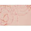 Tapis de bain Aleeza